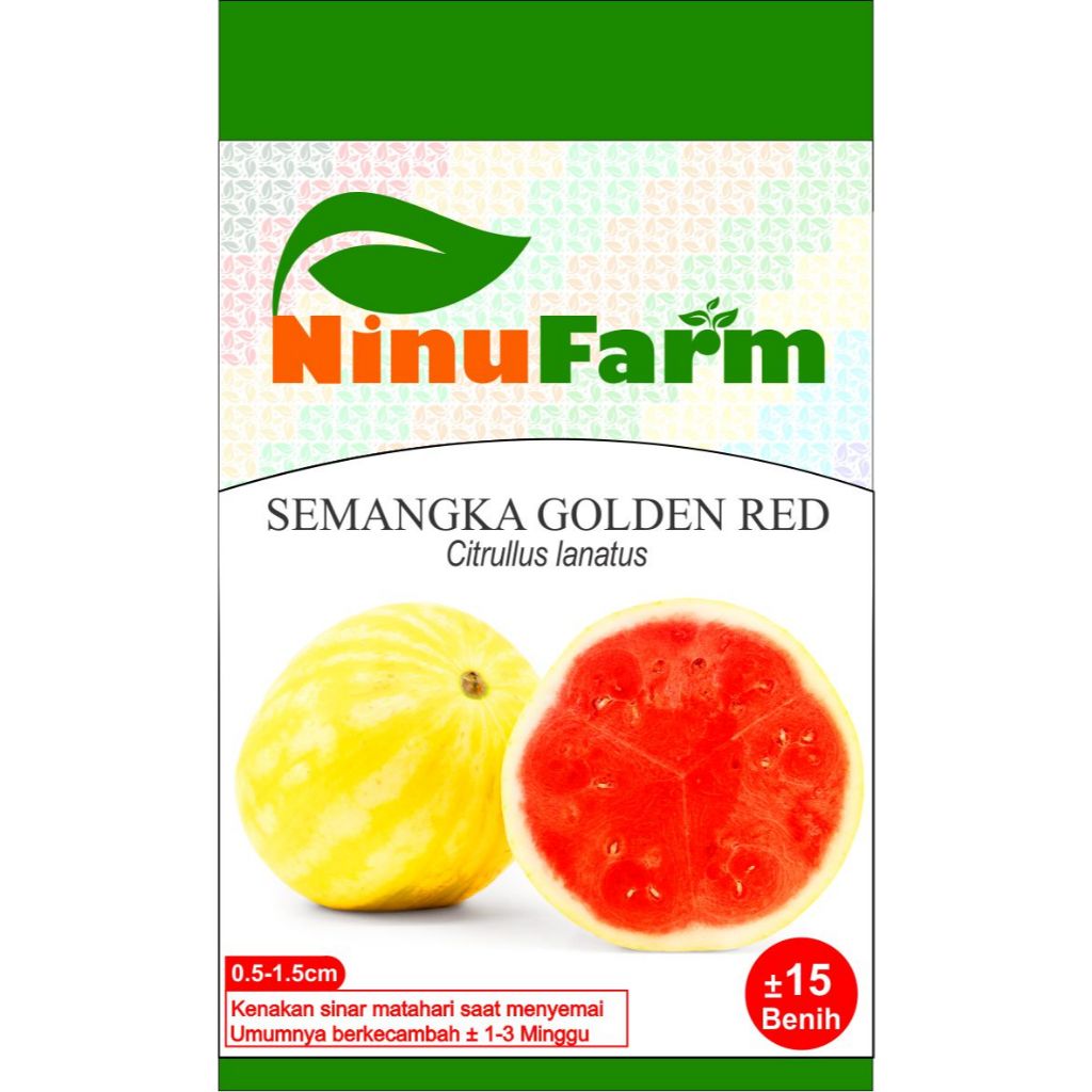 Benih Semangka Golden Red 15Seeds