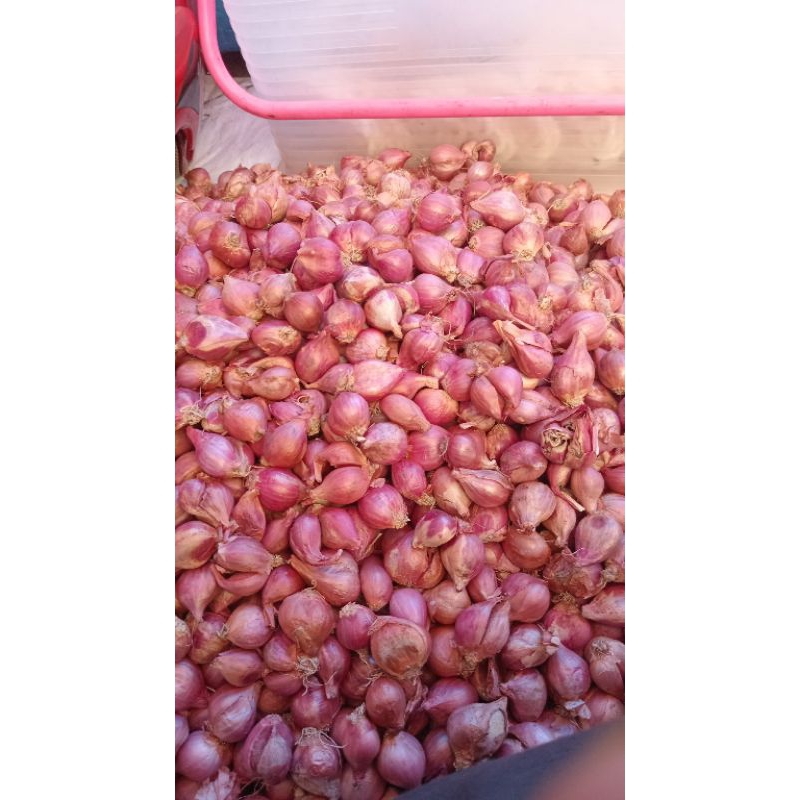 

bawang merah dan bumbu dapur lainnya