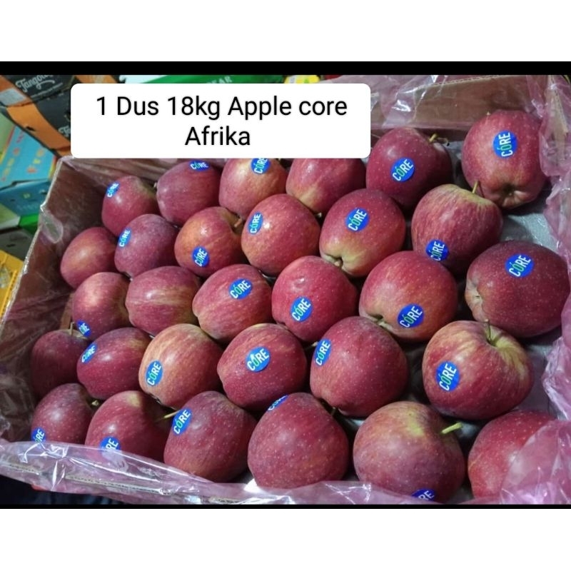 

buah Apple core 1dus 18kg buah