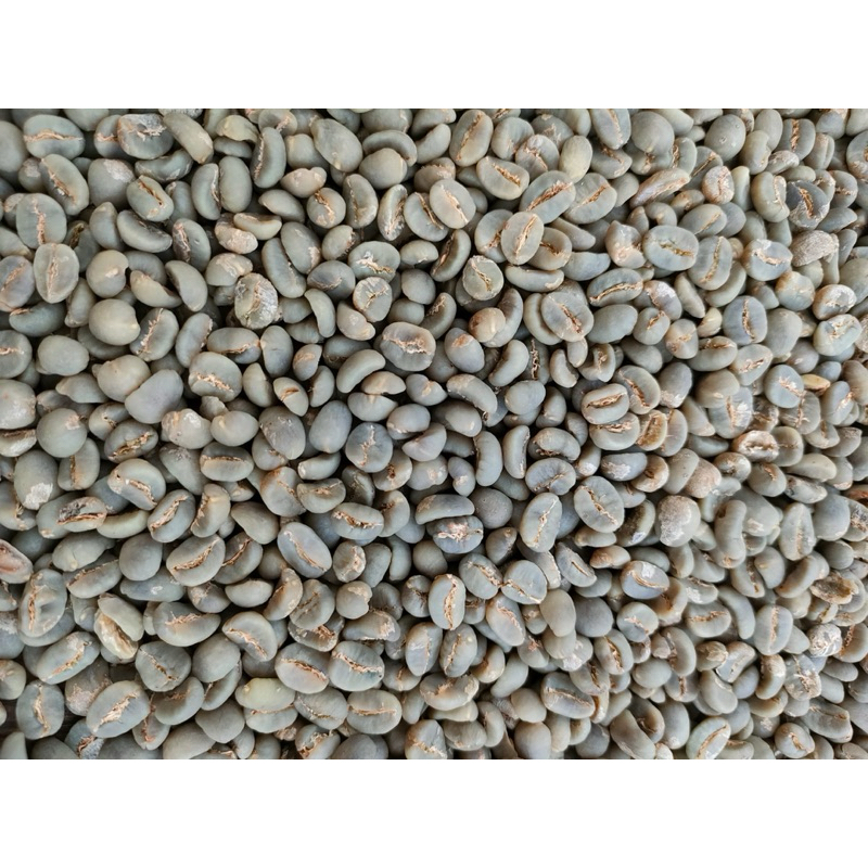 

biji kopi arabika berbagai varian