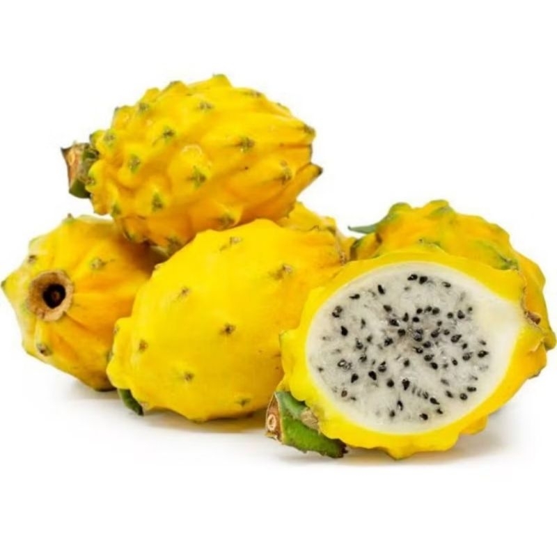 

buah naga kuning fresh 1 kg / dragon fruit yellow 1 kg