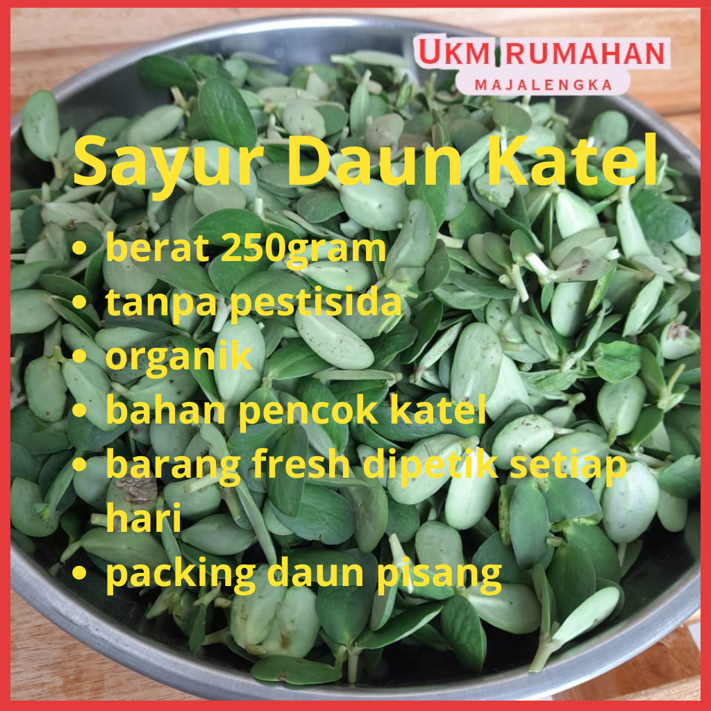 

Sayur Daun Katel Khas Majalengka 250gram Bahan Pencok Katel