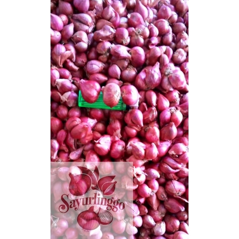 

BAWANG MERAH PROBOLINGGO | 1kg | BAWANG MERAH MURAH | BAWANG MERAH | BAMER 1KG | BAWANG MERAH KERING