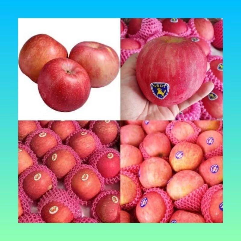 

Buah Apel Fuji fresh 1 kg | Apel Fuji merah segar 1 kg | Apel Fuji fresh manis | Buah Apel fuji