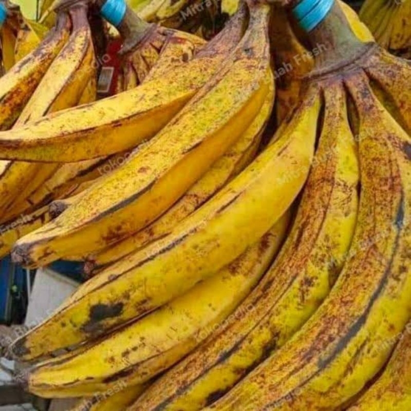 

Pisang Tanduk/Galek Super Besar Harga Per 1 Buah Pisang Lokal Berkualitas