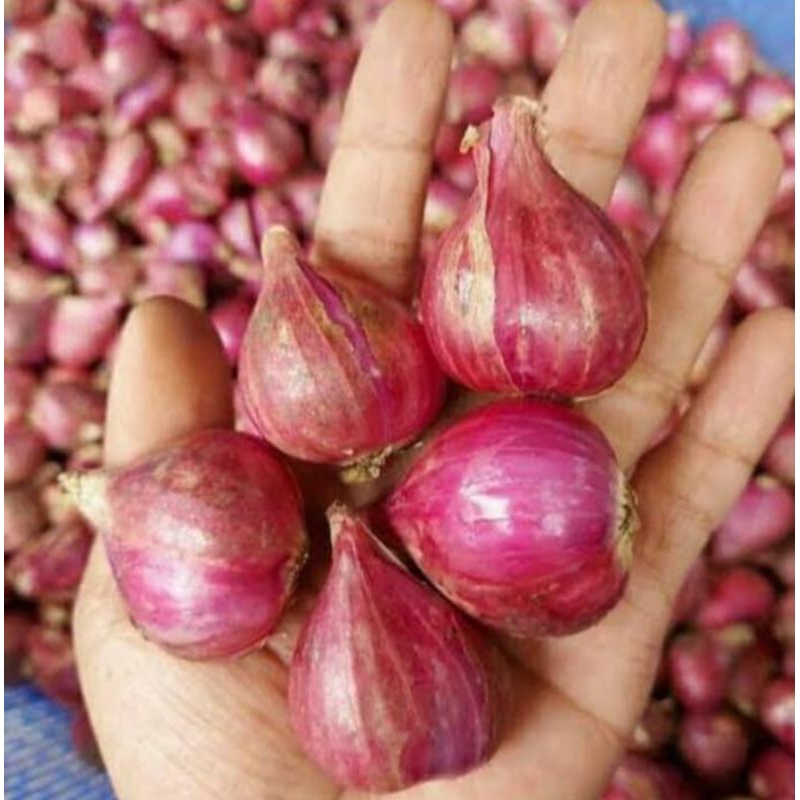 

Bawang Merah Brebes Super 500gram