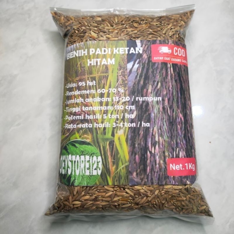 ketan hitam Gabah padi ketan hitam kemasan 1 kg