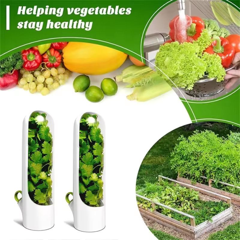 

Tabung Penyimpanan Sayuran Segar Kontainer Vegetables Penyimpanan Sayuran