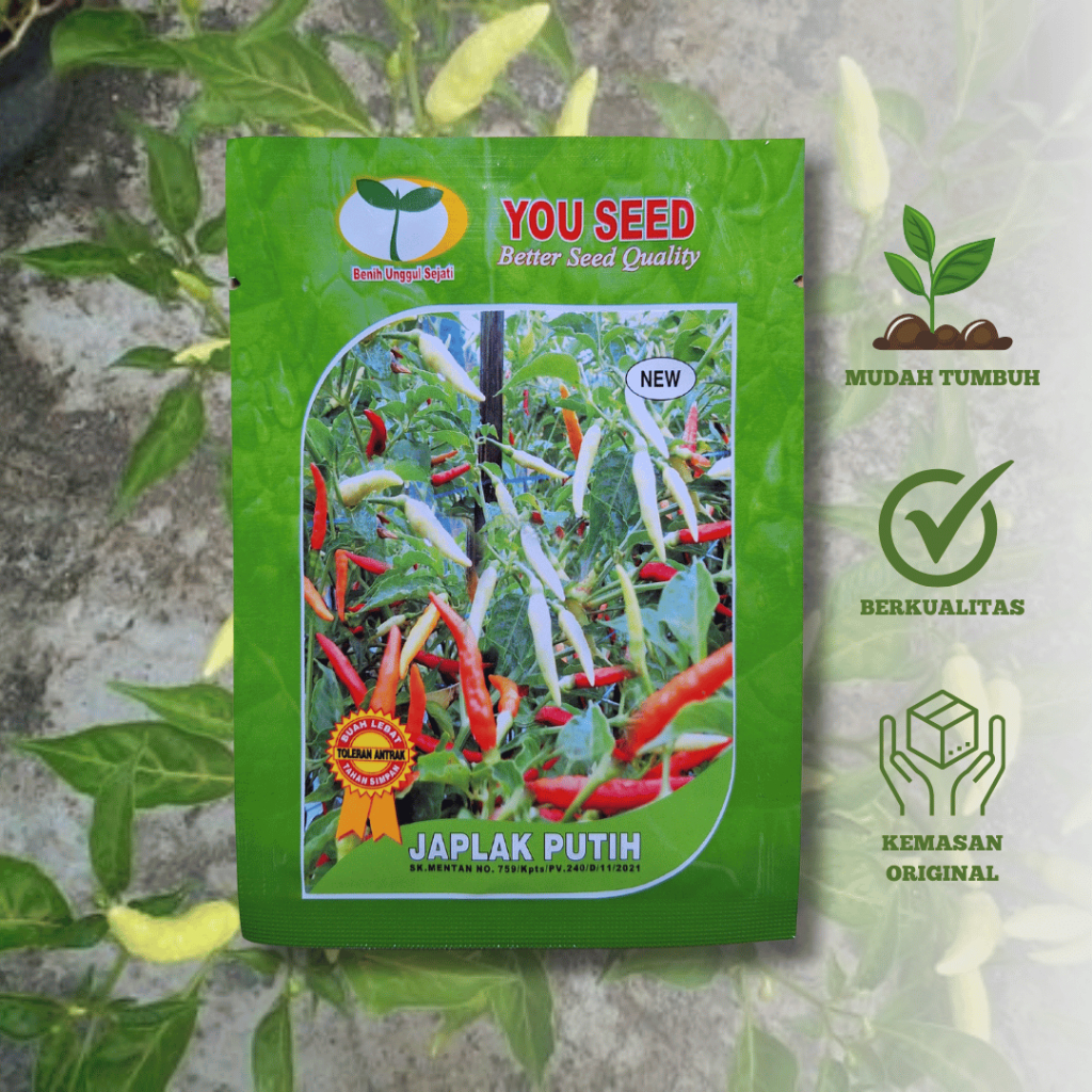 Benih Cabe Rawit Tegak JAPLAK PUTIH 10 gram Asli Cap You Seed Lebat & Bandel