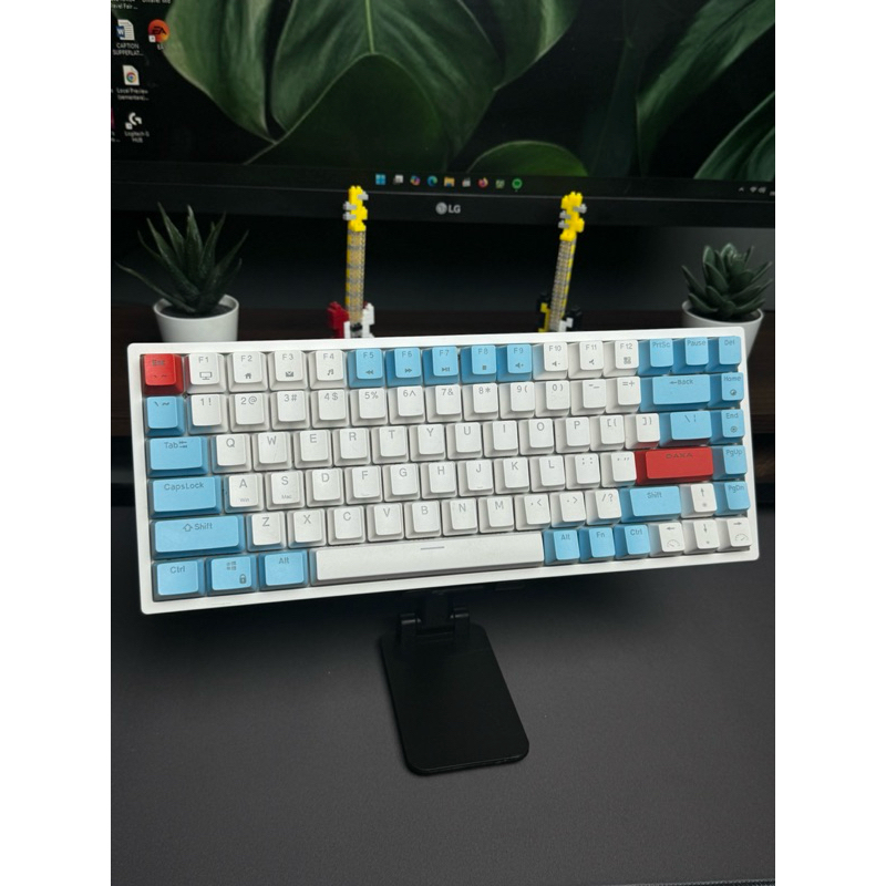 [Second] Rexus Daxa M84 Classic