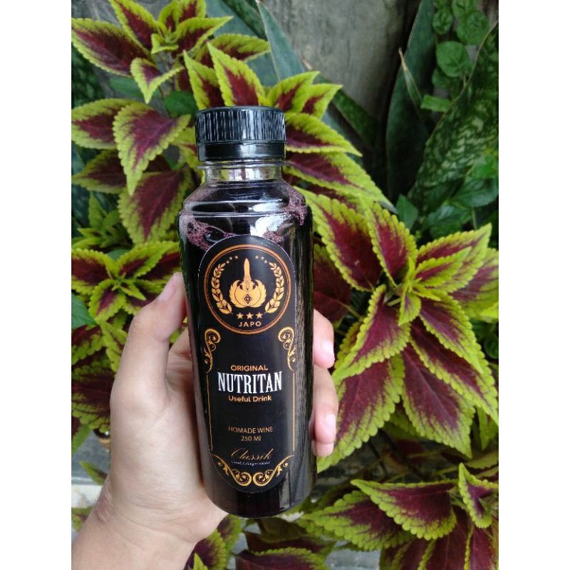 

Soetris Minuman Imun Booster (Fermentasi Buah Anggur)