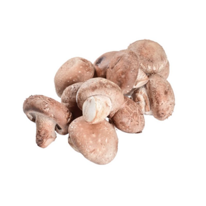 

Jamur Shitake / Jamur Kering