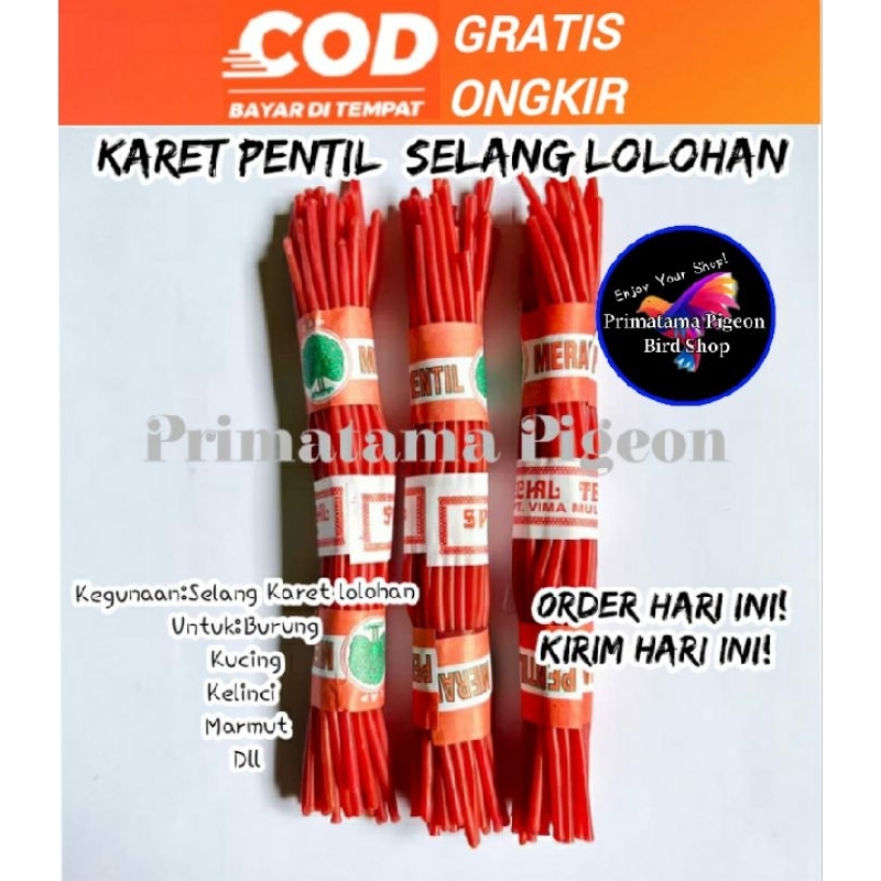 Karet Pentil Lolohan Burung Karet Pentil Untuk Loloh Burung Merpati Karet Spet Burung 1 pcs