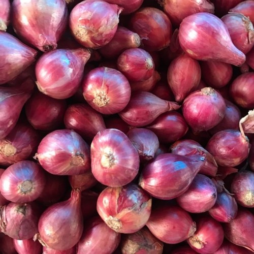 

BAWANG MERAH BERKUALITAS 1KG TERMURAH