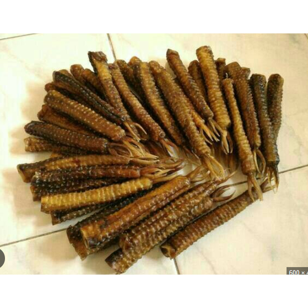 

Jamu Herbal Alami Kuat Tahan lama