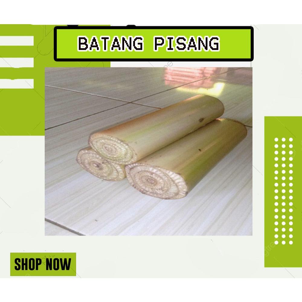 

BATANG PISANG | GEDEBOG PISANG | SEGAR FRESH | 1 BATANG | MURAH DAN ANTI OKSIDAN