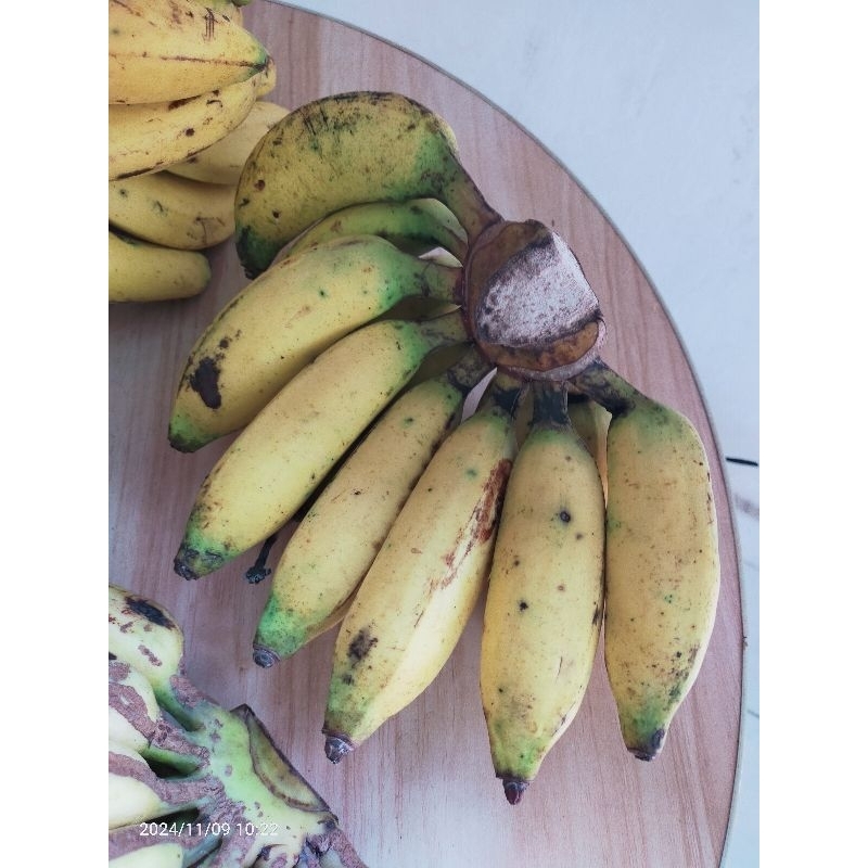 

pisang lilin