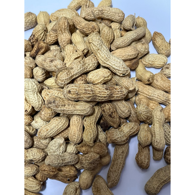 

Kacang Oven Istimewa Kudus 200 gram