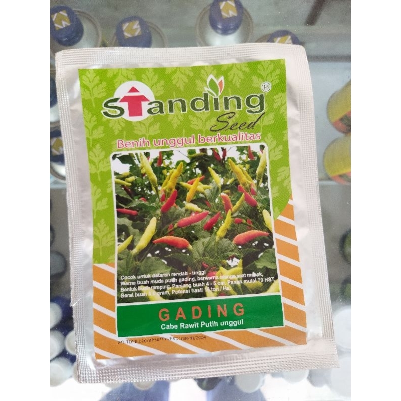 Benih Cabai Rawit Putih Standing Seed GADING 10 gram