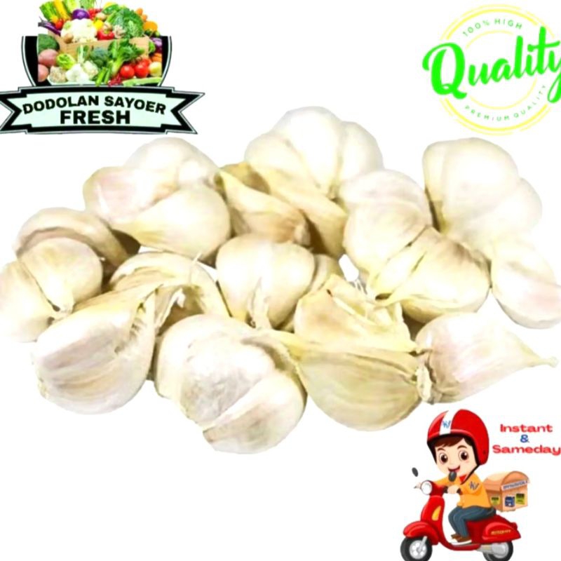 

Bawang Kating/bawangputih Fresh pilihan