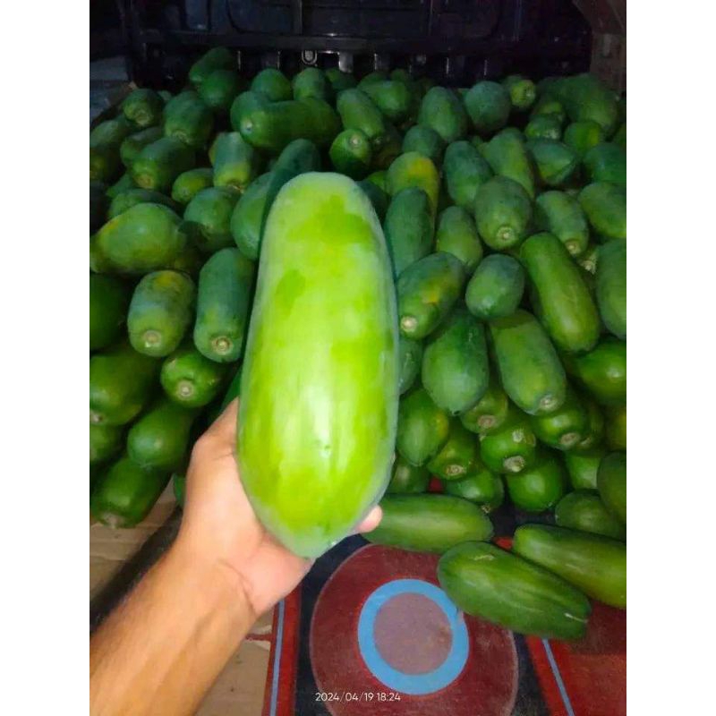 

pepaya mentah/paya sayur