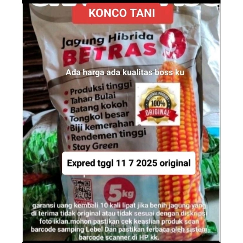 benih bibit jagung hibrida betras 9 kemasan 5kg expeyet 11 07 2025 asli