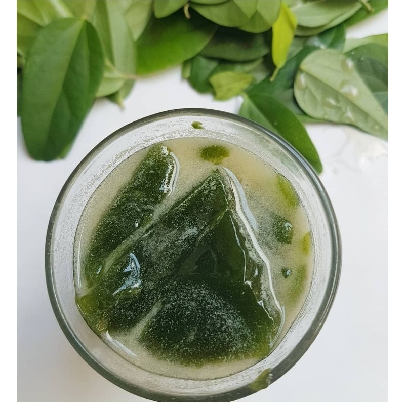 

Daun Cincau Jepang | CINCAU RAMBAT | 100 Gram