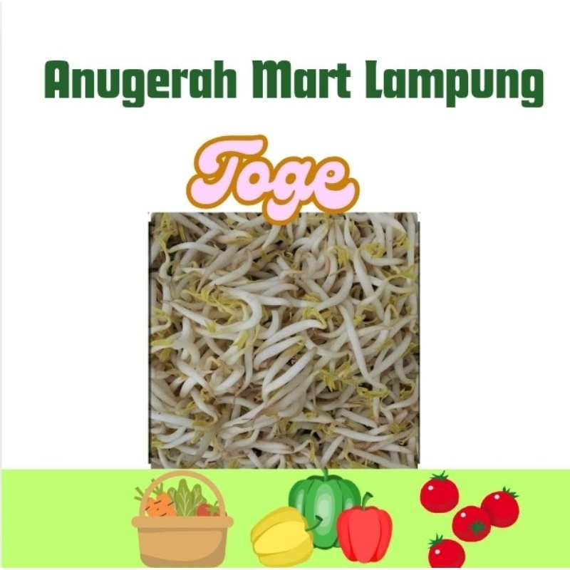 

Toge atau Kecambah Sayuran Segar Anugerah Mart Lampung