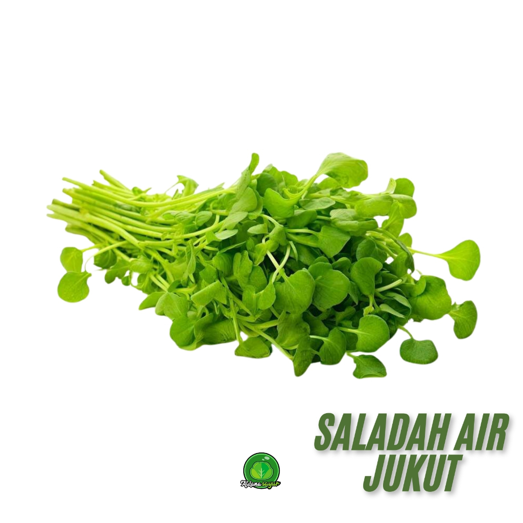 

Saladah Air / Jukut aldana sayur garut 1 ikat