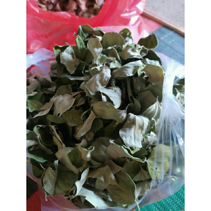 

daun bidara kering 250gram