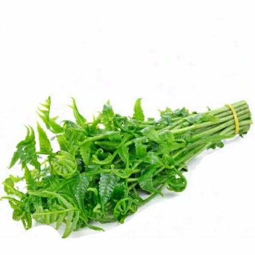 

SAYUR PAKU [1 ikat]