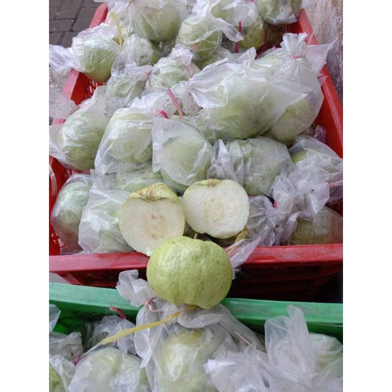 

Jambu Kristal Putih Premium Fresh 1kg (murah)