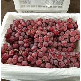 

Anggur Red Globe Fresh per krat