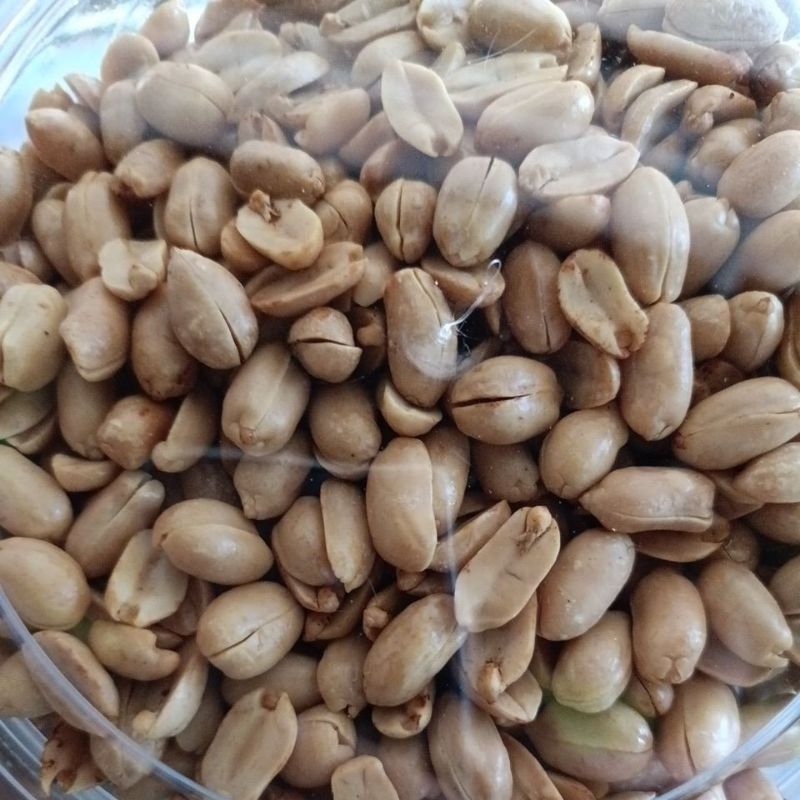 

kacang bawang