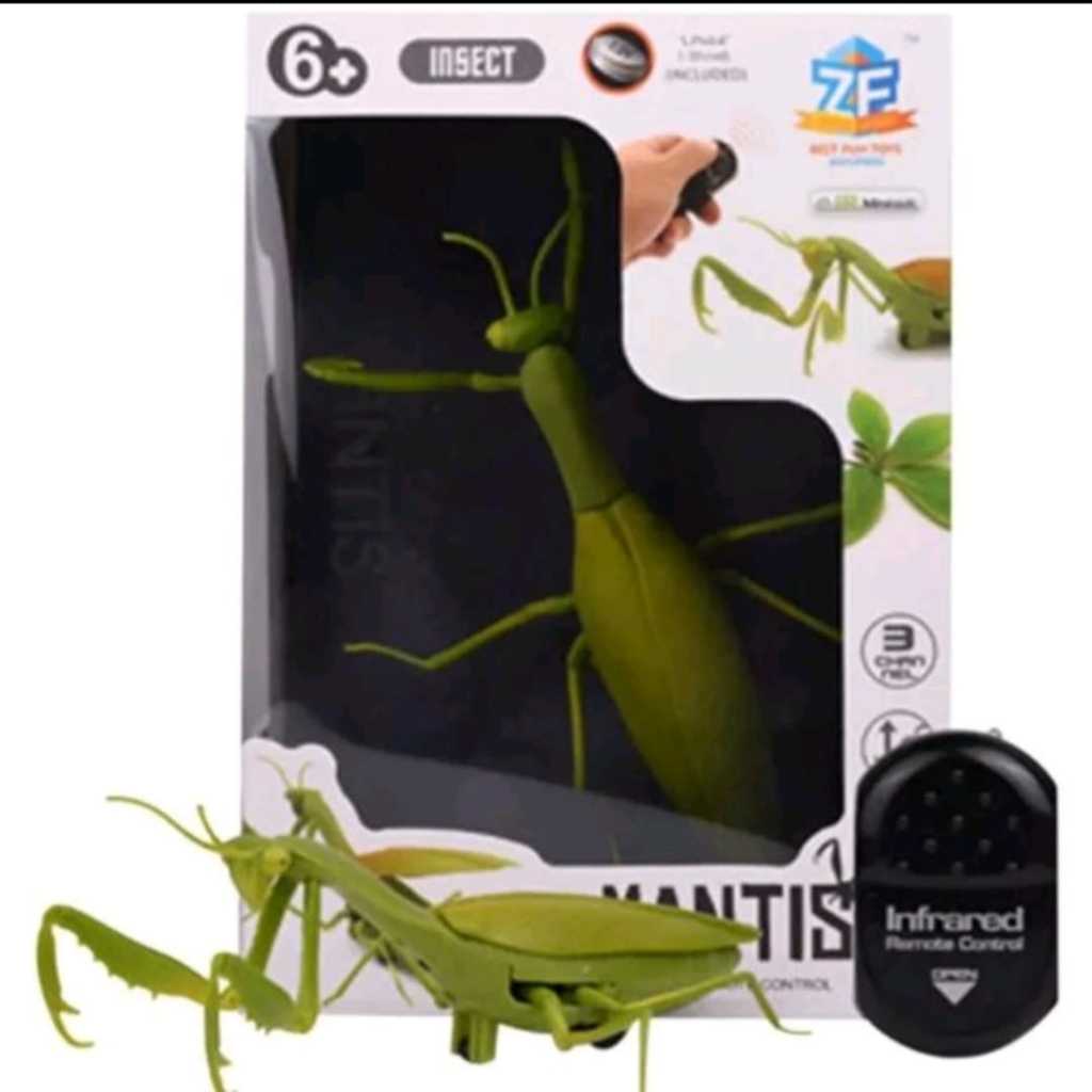 Mainan Kelabang Raksasa remote kontrol Ular belalang berdoa kecoa RB6