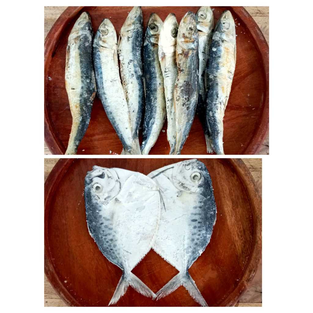 

Ikan Asin Japuh | Ikan Asin Etem | Ikan Asin Sepat | Ikan Asin Pari | Ikan Asin Peda Putih 250 gram