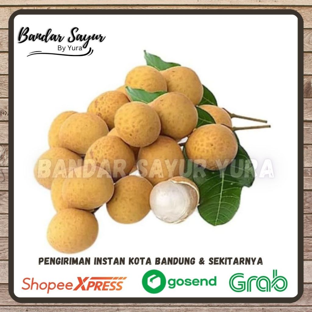 

Lengkeng Bangkok 500 gram