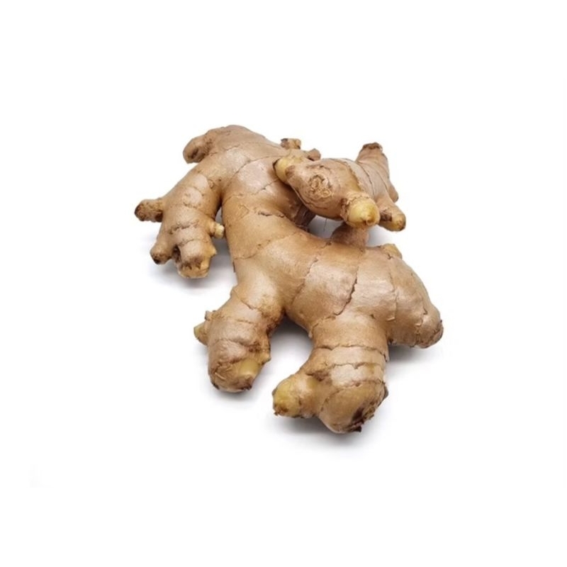

Jahe bumbu masak
