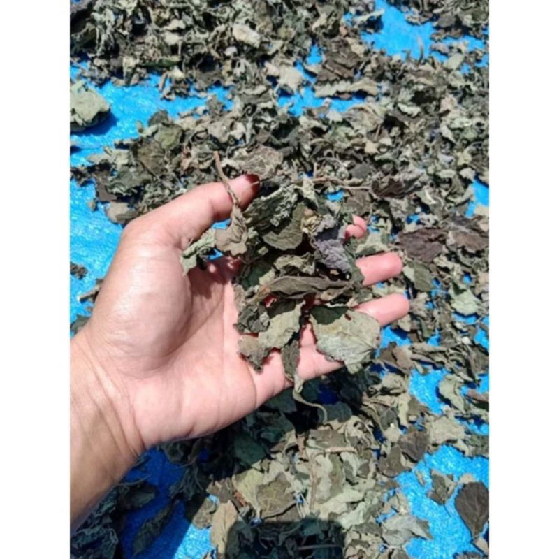 daun Nilam kering/bahan minyak wangi 1 kg