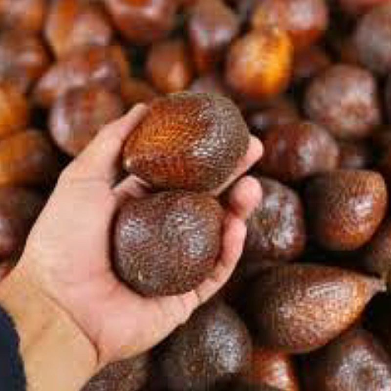 

Salak Pondoh 1 Kilogram