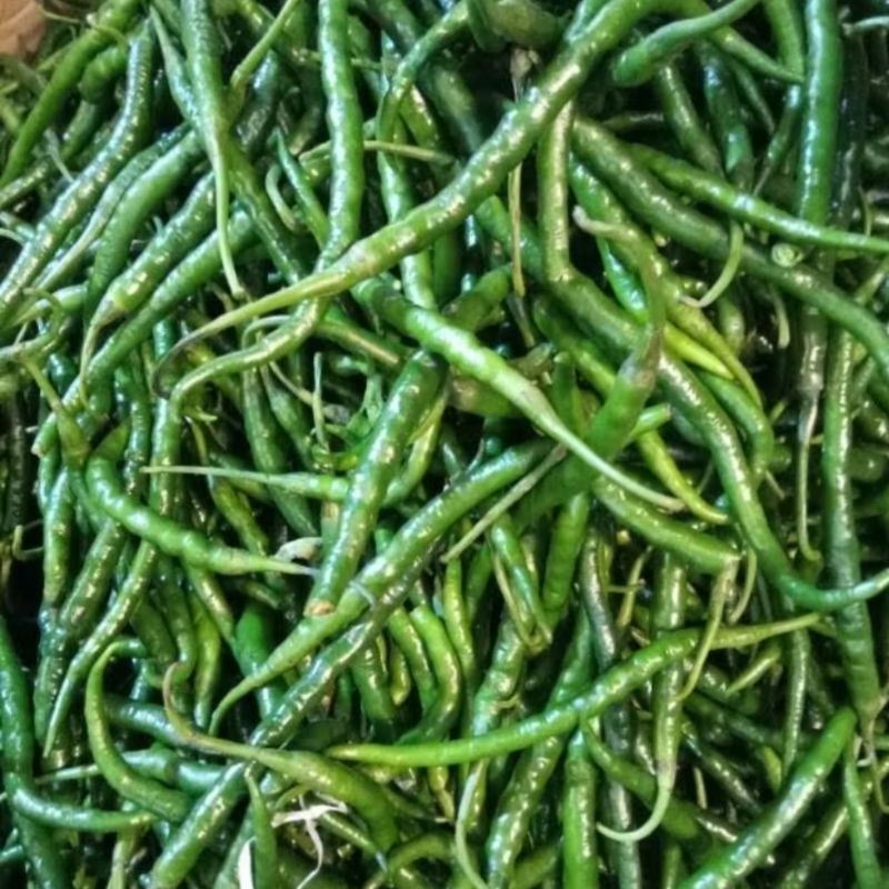 

cabe hijau - cabe kriting hijau 1 kilo