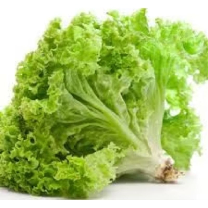 sayur selada air per 250gr