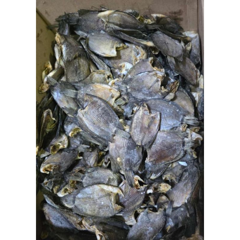 

Ikan Asin Tembakang Paket 10.000 Kemasan Vacum