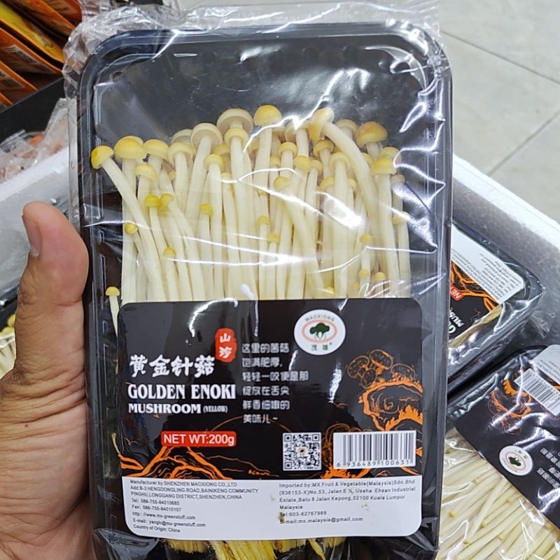 

GOLDEN ENOKI