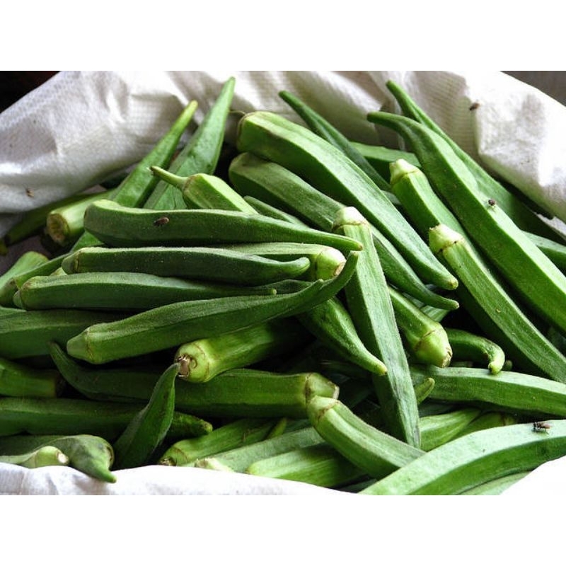 

SAYUR OKRA SEGAR