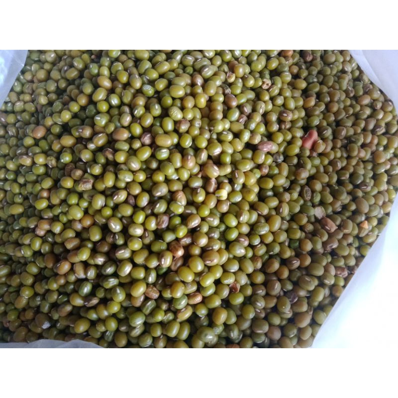 

kacang hijau 1 kg