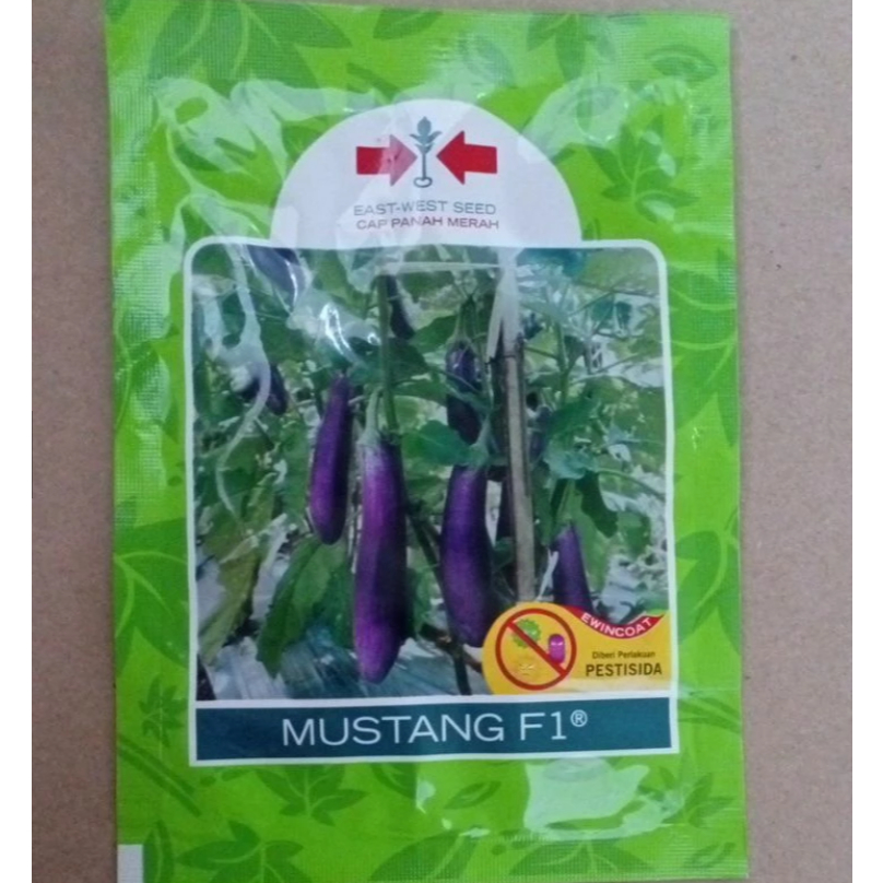 

TERONG MUSTANG 1.100 BIJI