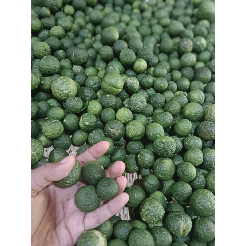 

jeruk limau/ jeruk limo bumbu masakan