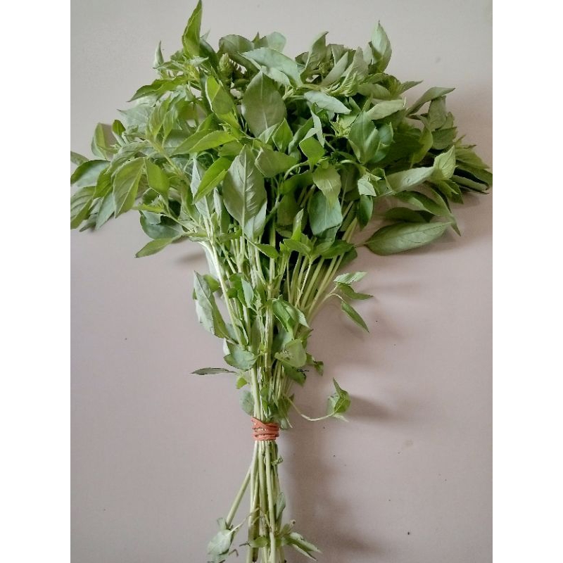 

daun kemangi segar 1 ikat