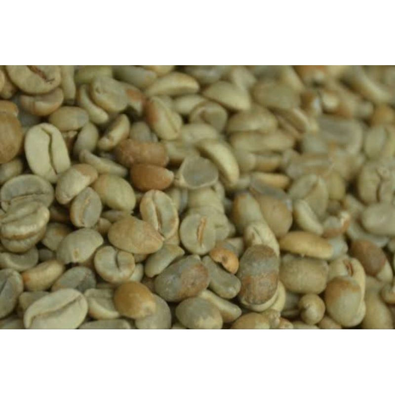 

Green bean Arabika Kayu Aro Gunung Tujuh Kerinci - Jambi
